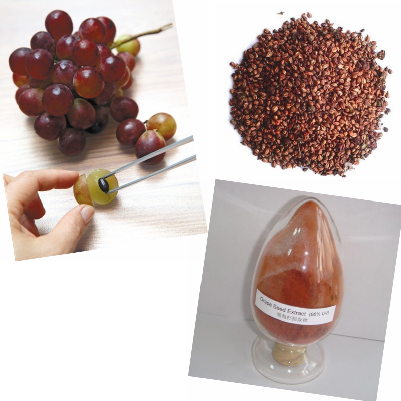 Grape seed extract