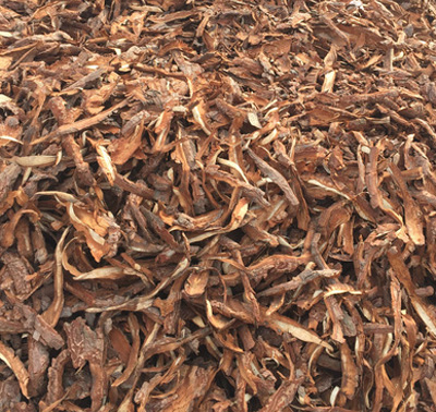 Pine Bark extract