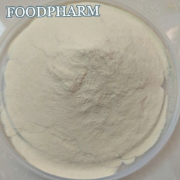 Xanthan Gum