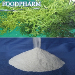 FOODPHARM- Carrageenan