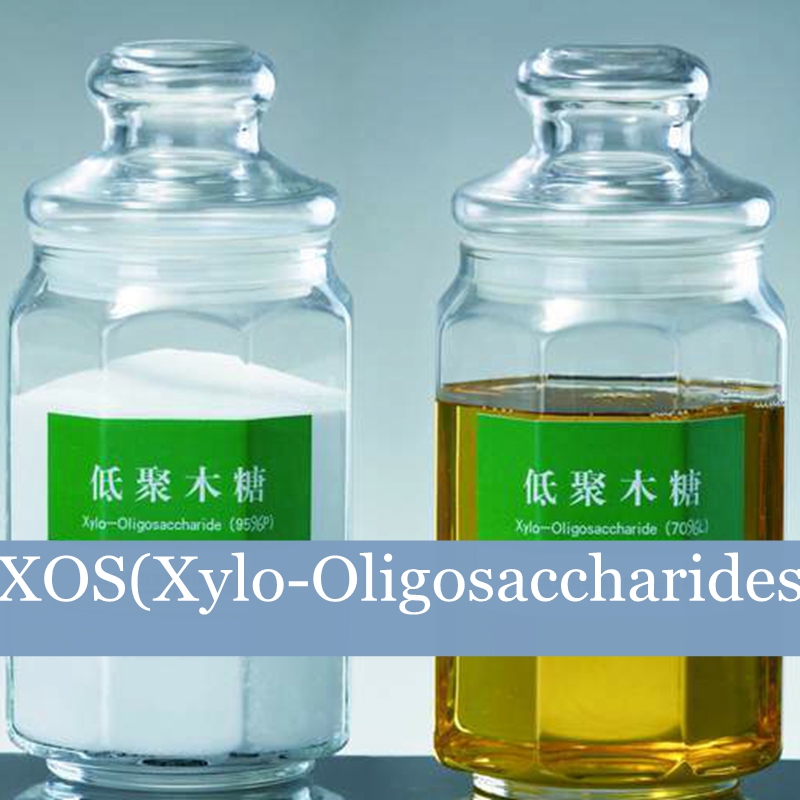 XOS(Xylo-Oligosaccharides)